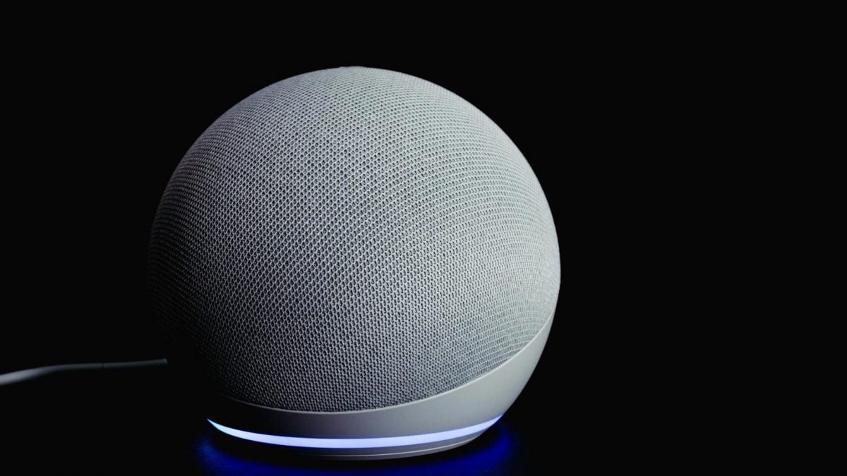 Amazon Alexa privacy