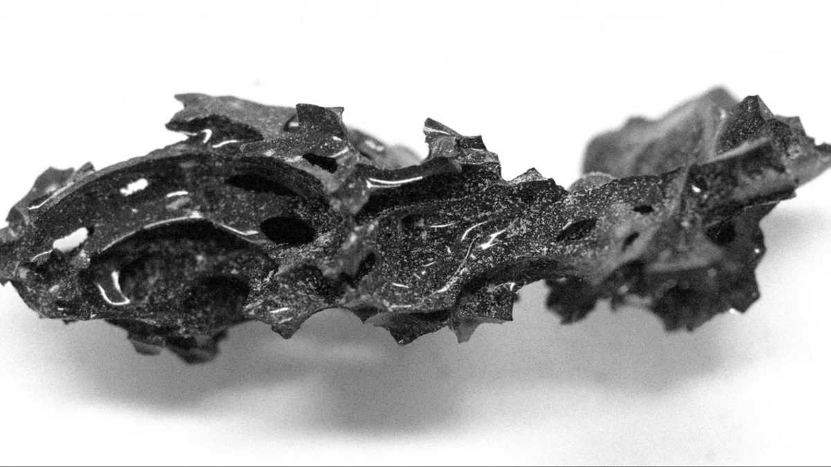 cervello vetrificato