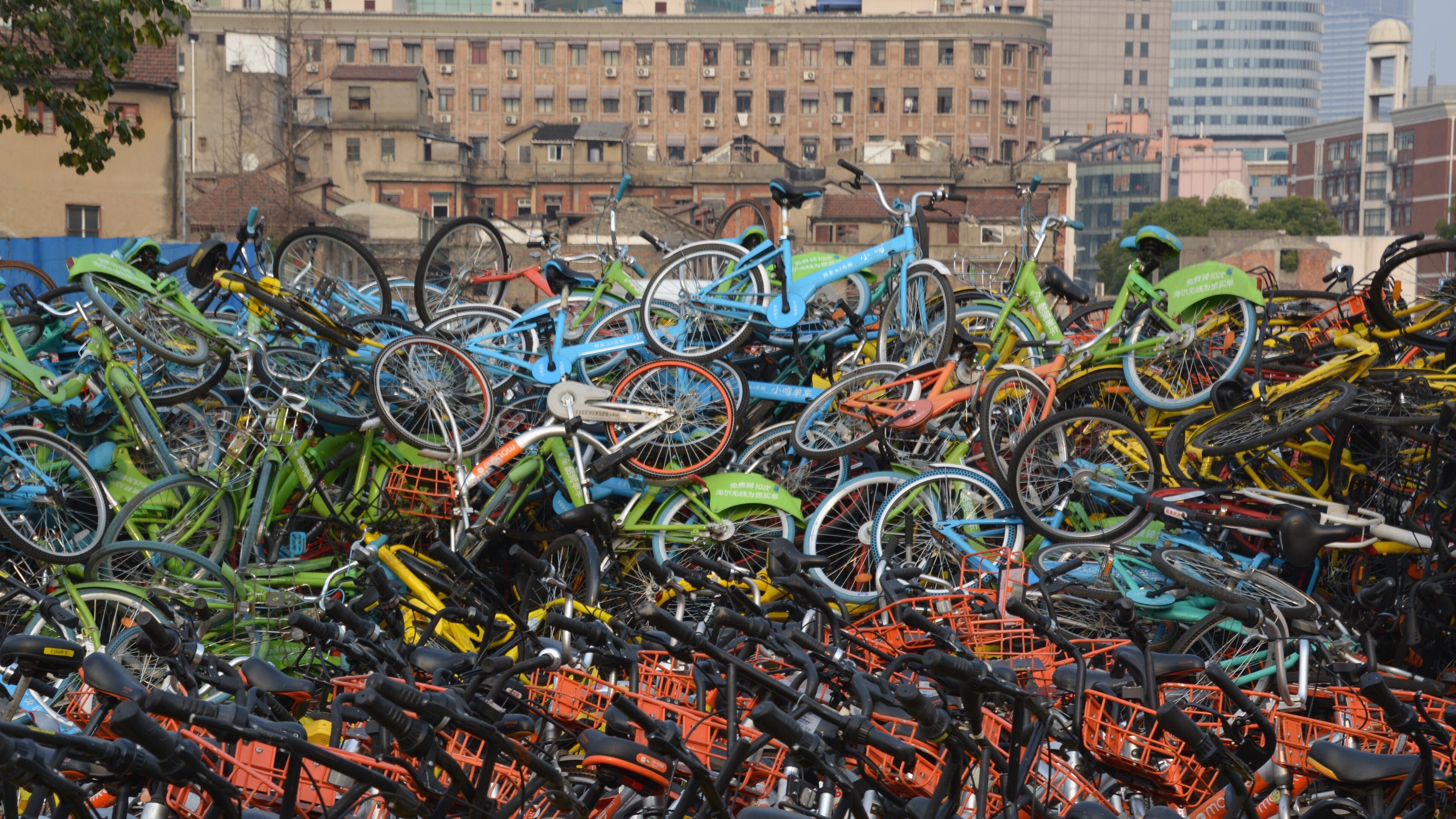 cimiteri di biciclette cina