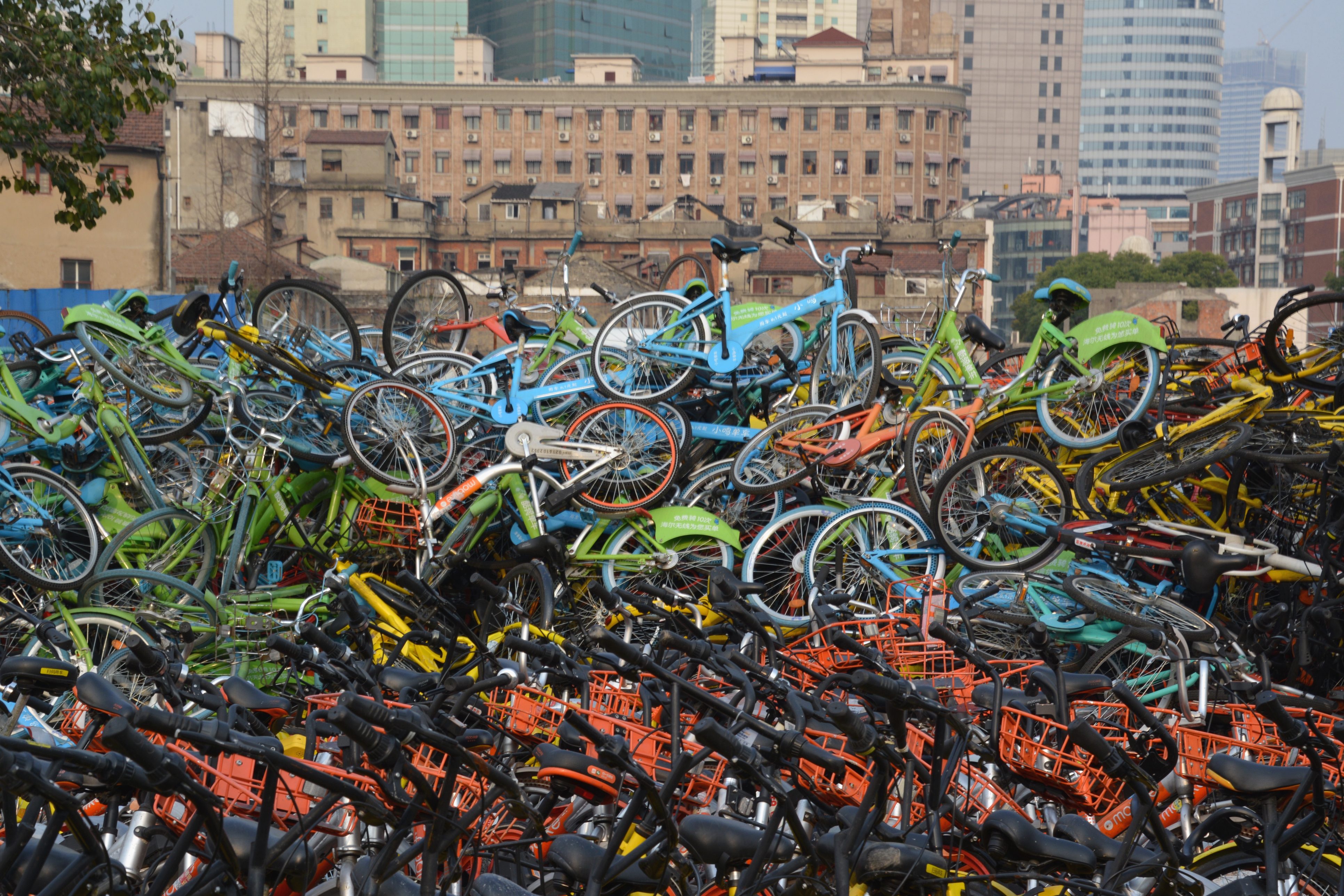 cimiteri di biciclette cina