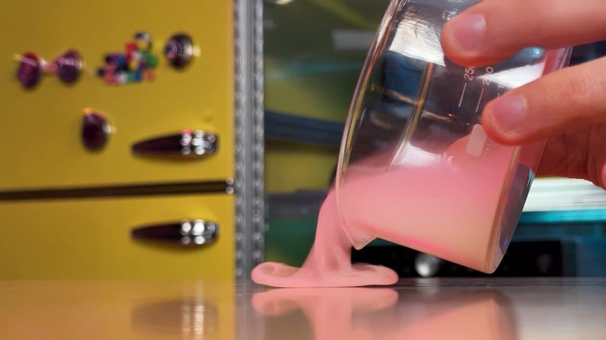 esperimento anidride carbonica campi flegrei