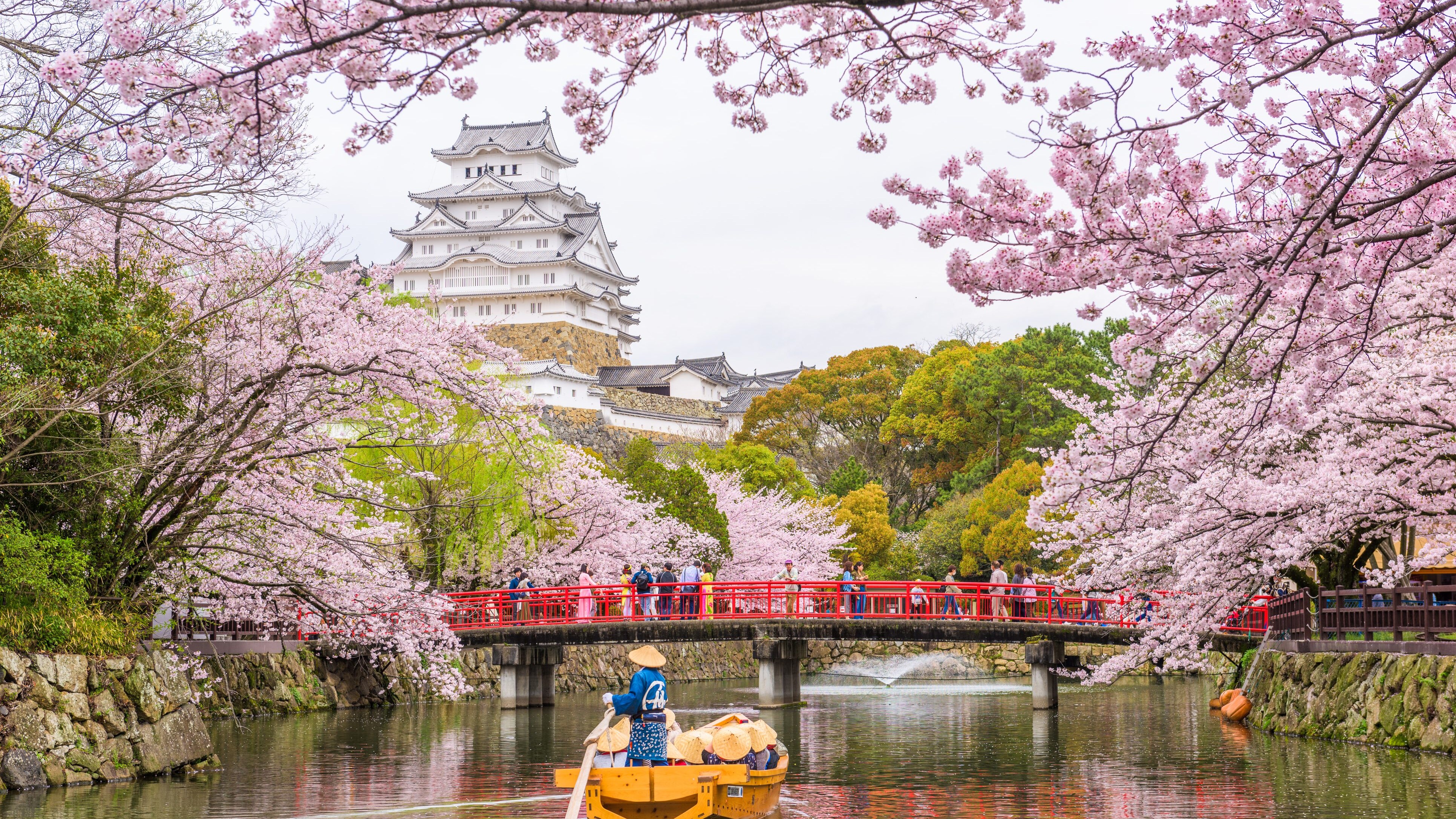 hanami