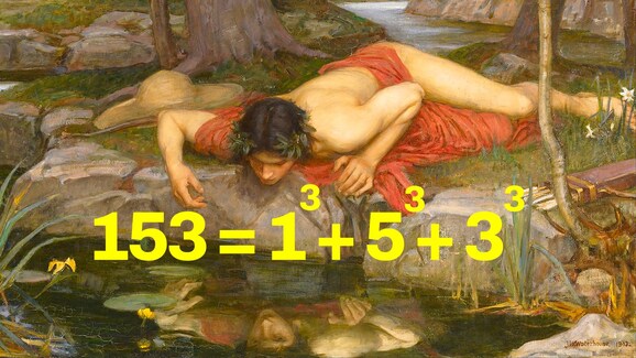 narciso numeri narcisisti