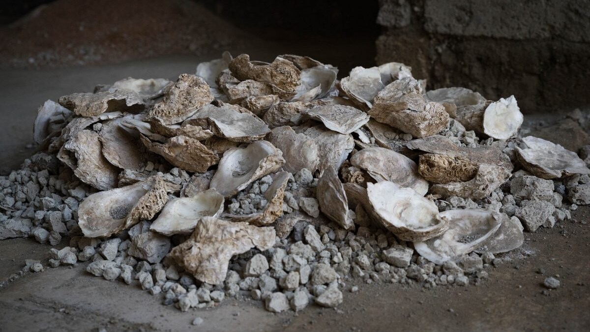 ostriche pompei