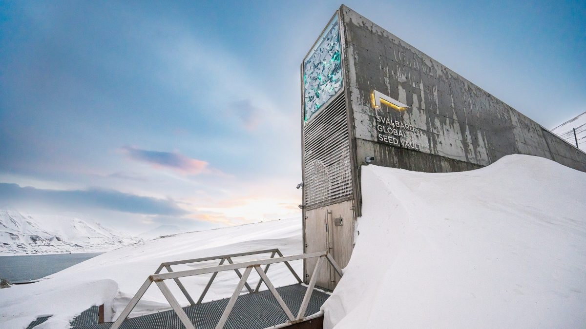 svalbard banca semi