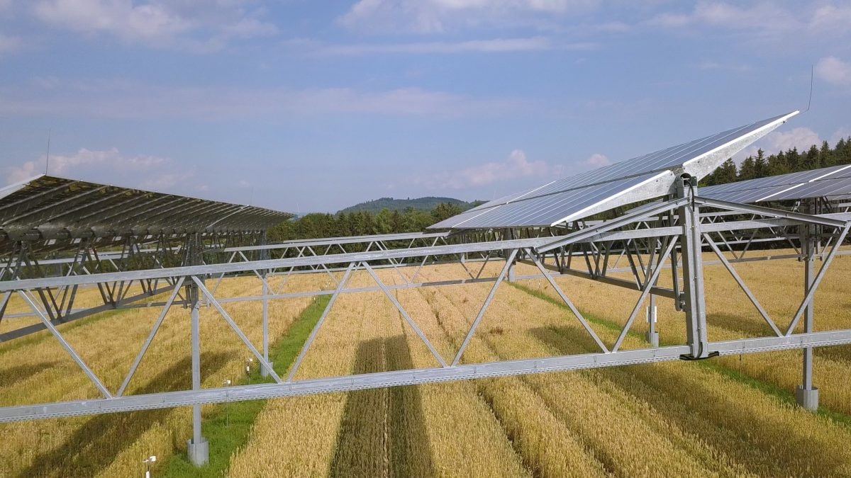 agrivoltaico energia