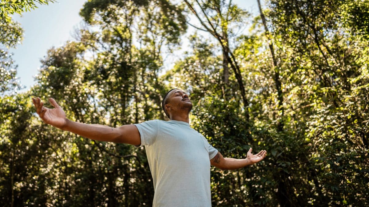 forest bathing natura