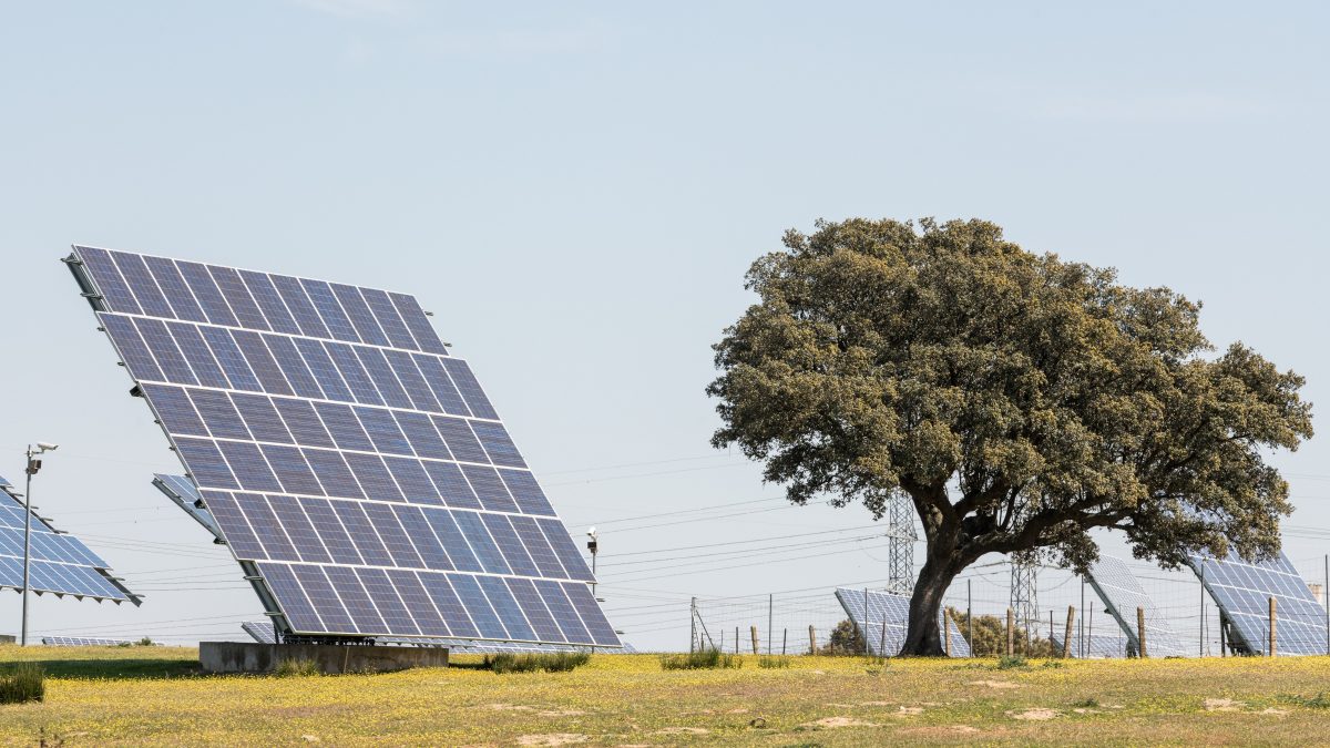 blackout spagna rinnovabili