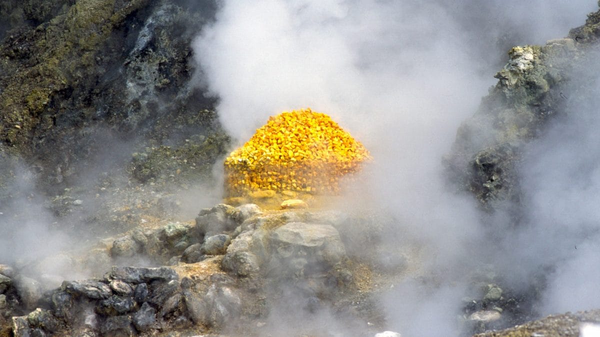 bollettino campi flegrei