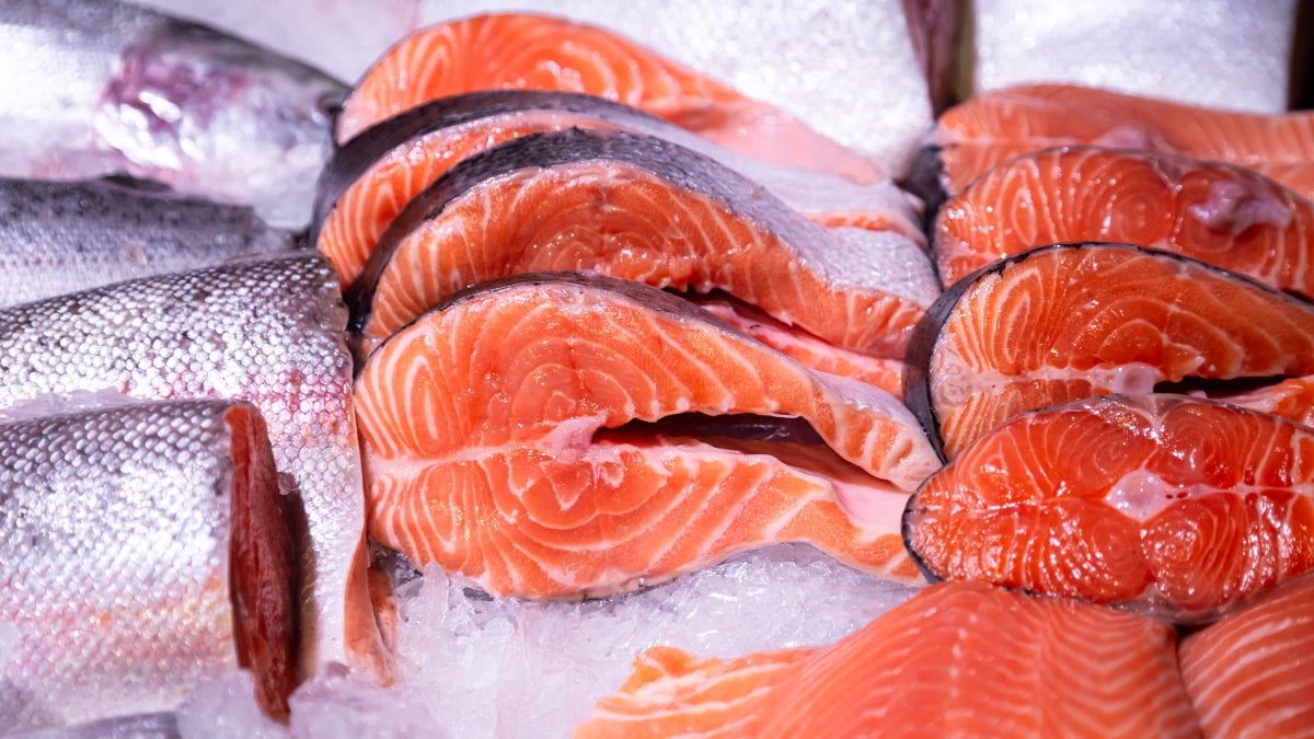 Congelatore abbattitore pesce crudo