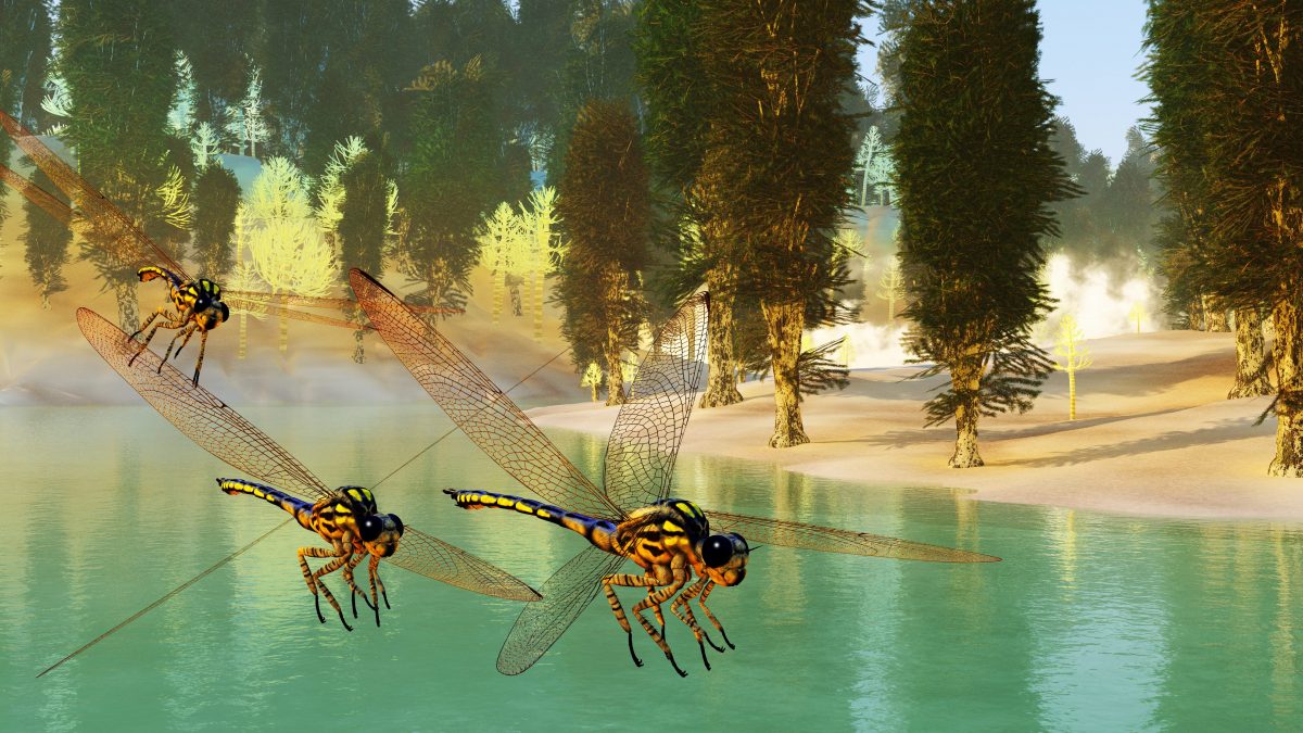 Meganeura libellula gigante