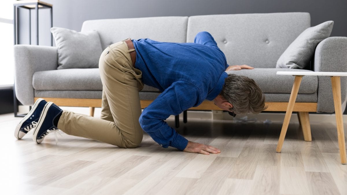 disattenzione cercare portafogli