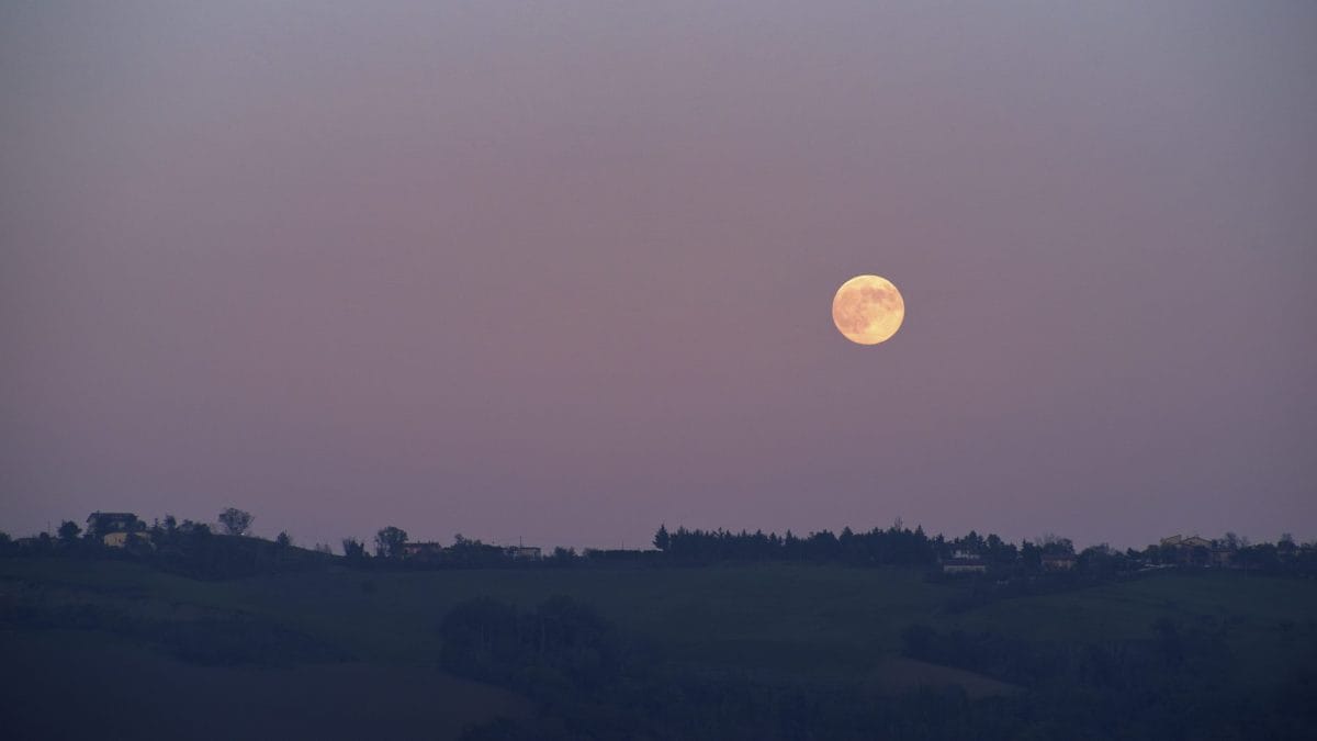 microluna