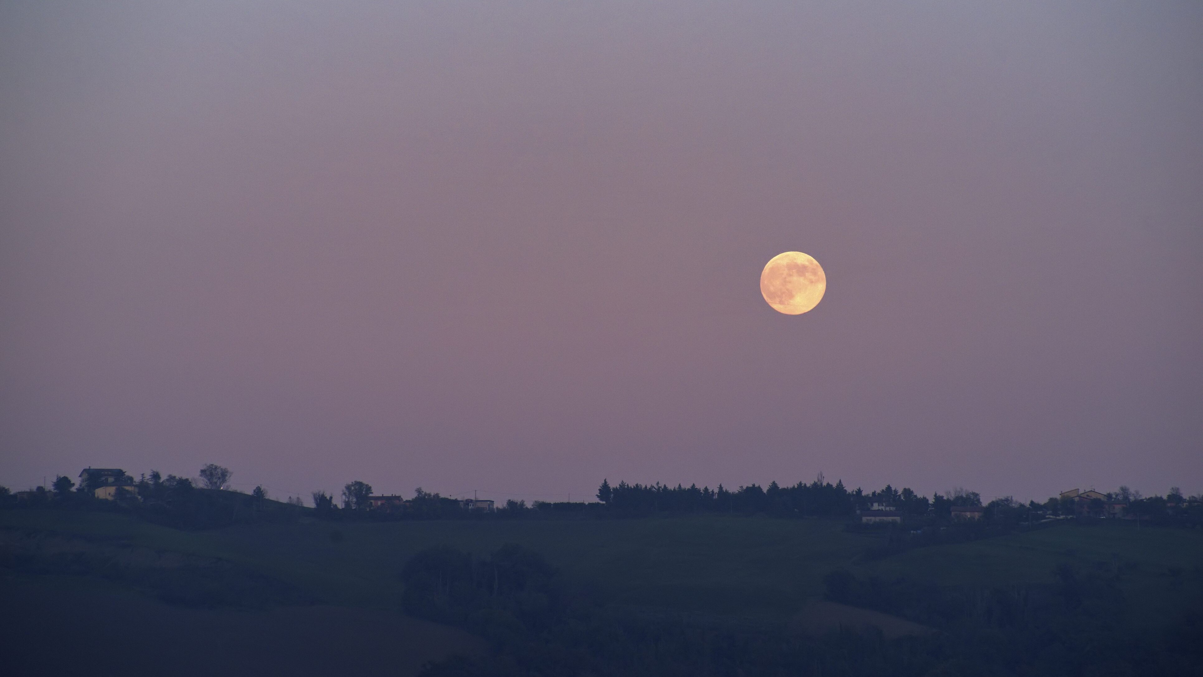 microluna