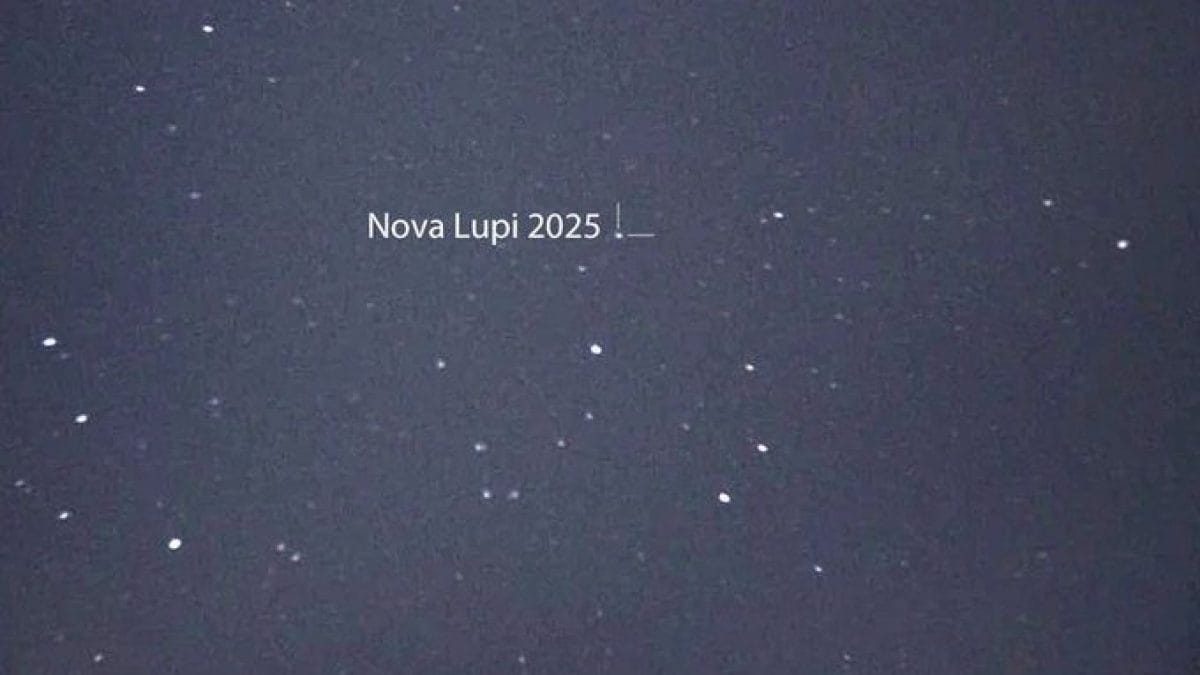 nova