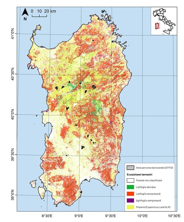 incendi Sardegna 2024