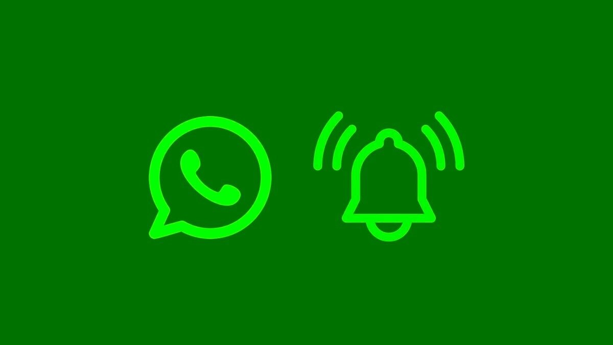 Funzione Promemoria WhatsApp
