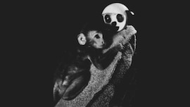 Scimmia rhesus esperiemento Harlow