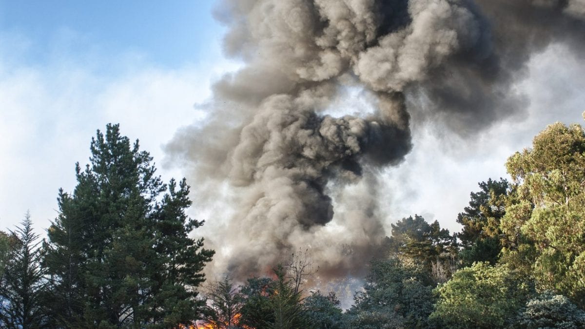 incendi italia