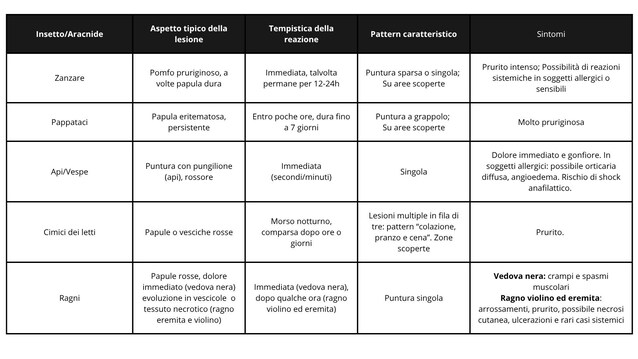 schema riconoscere punture di insetti