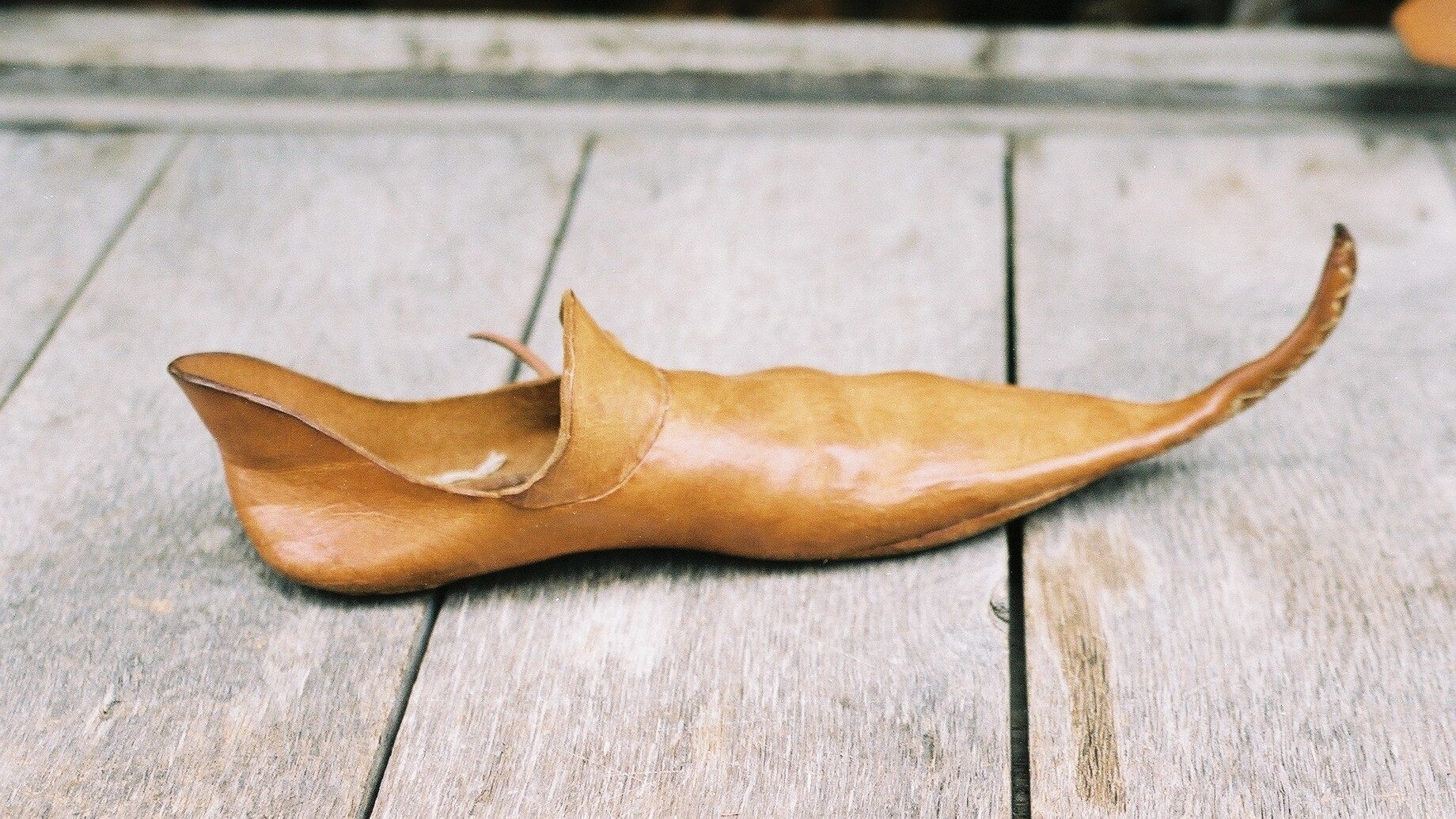 Medieval_shoe