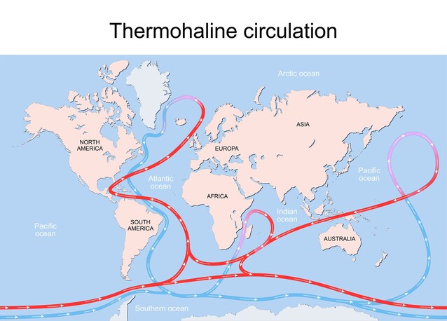 circolazione termoalina correnti marine