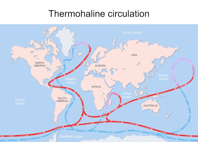 circolazione termoalina correnti marine