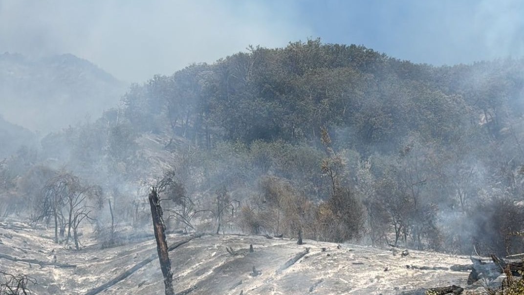 incendi-vesuvio-spenti-fine-emergenza