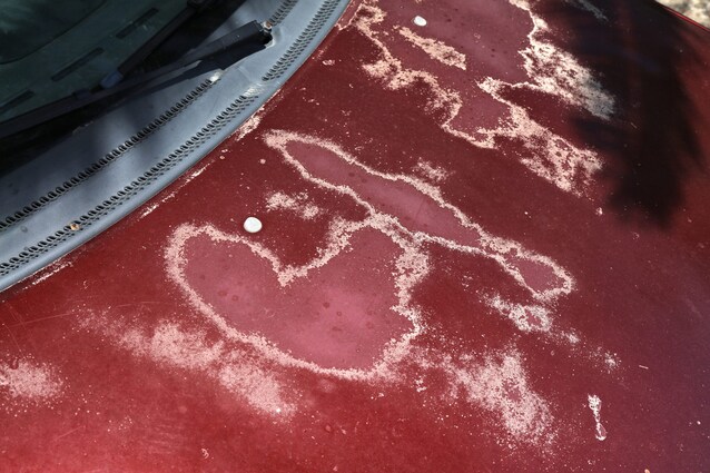 vernice sbiadita auto