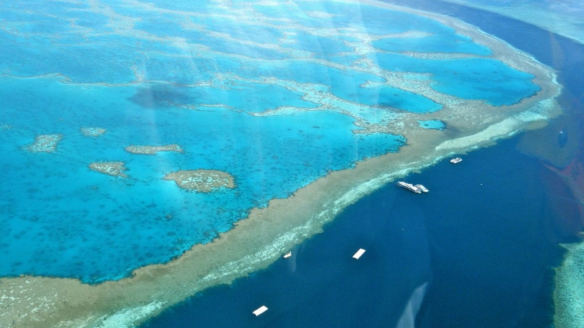 grande barriera corallina declino