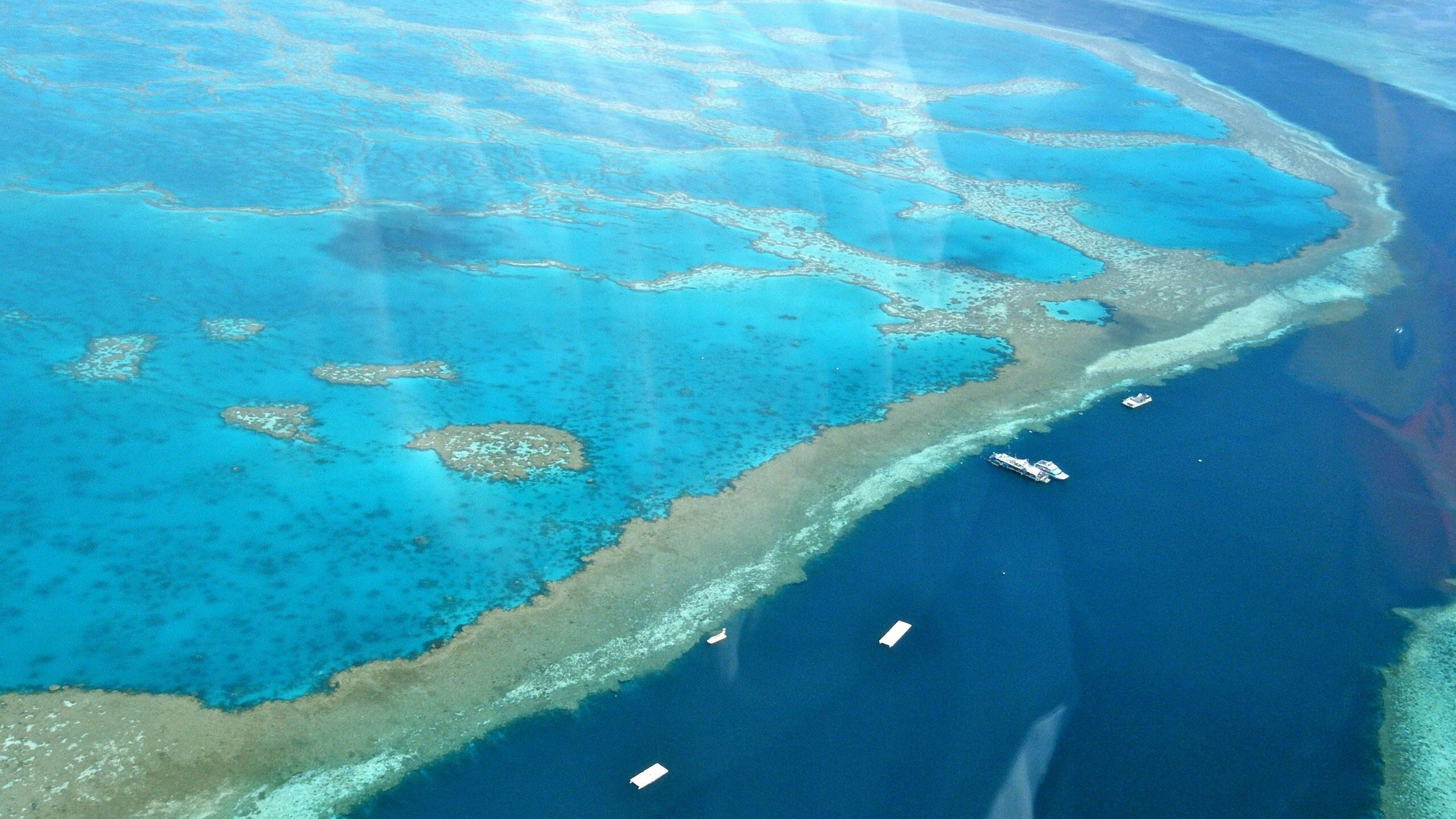 grande barriera corallina declino