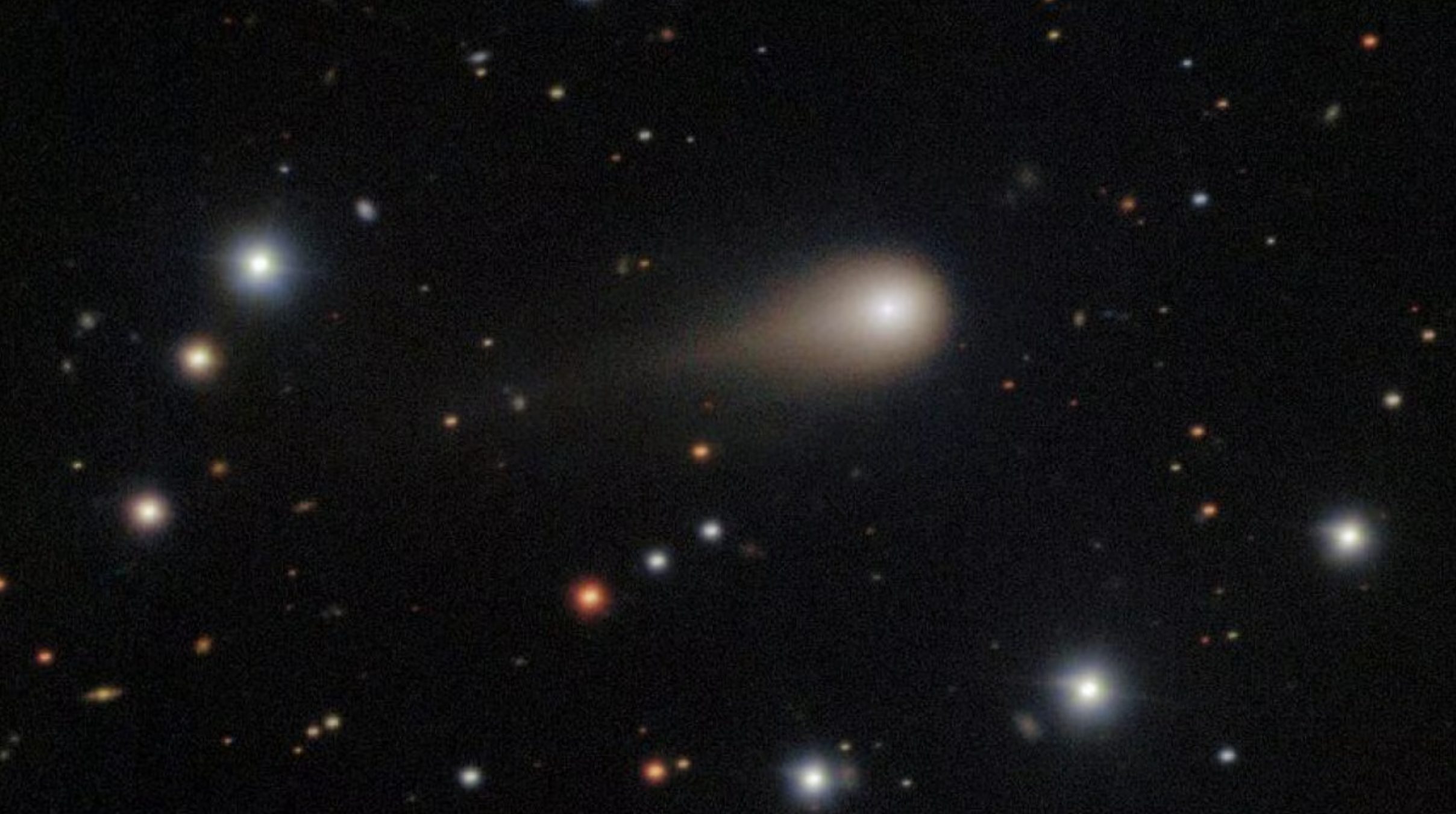 cometa interstellare