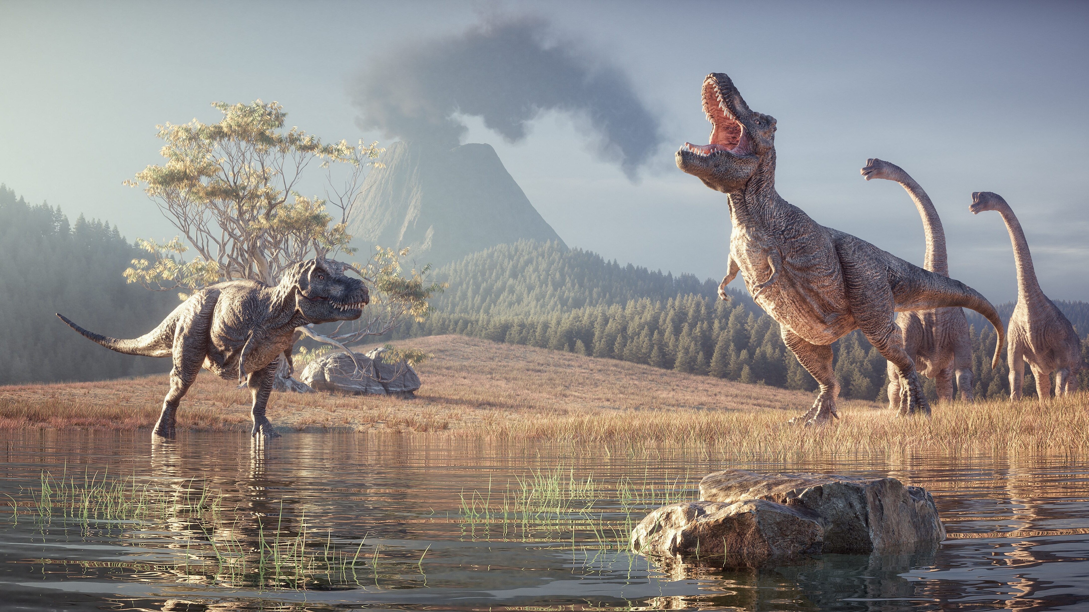 dinosauri