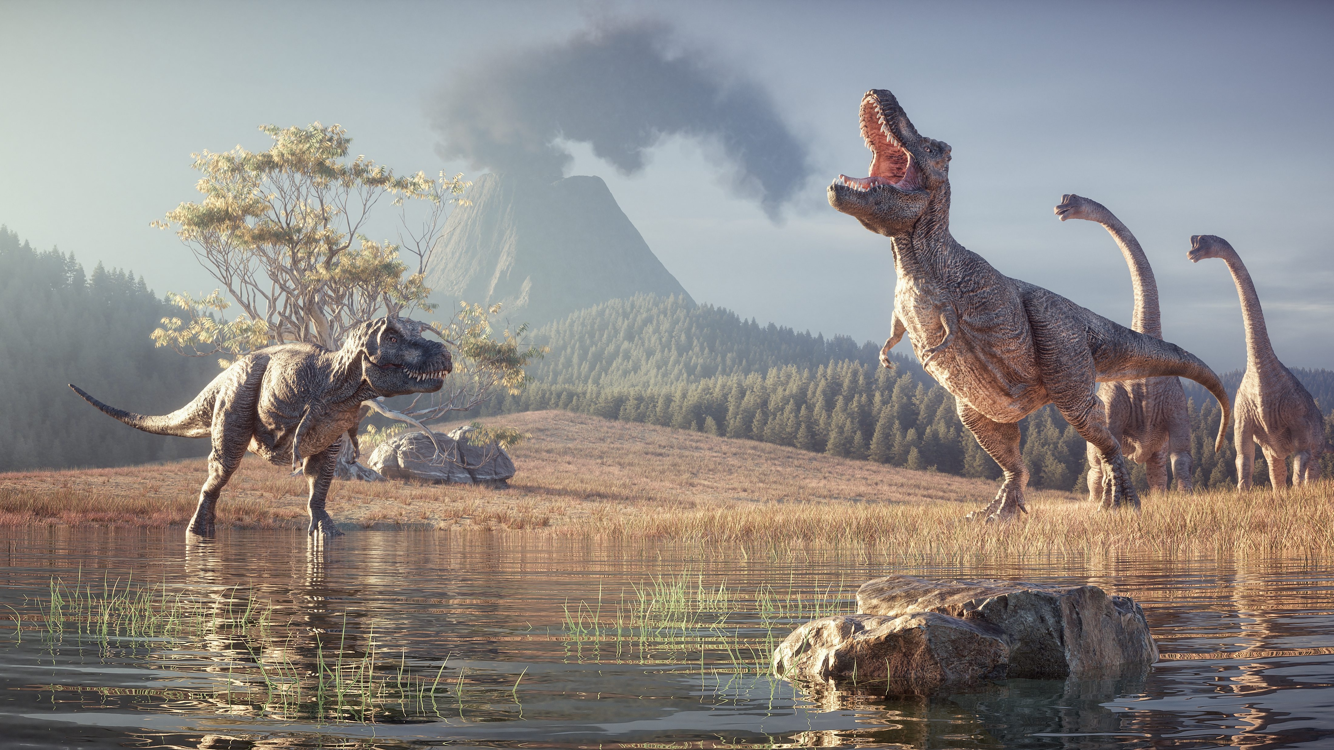 dinosauri