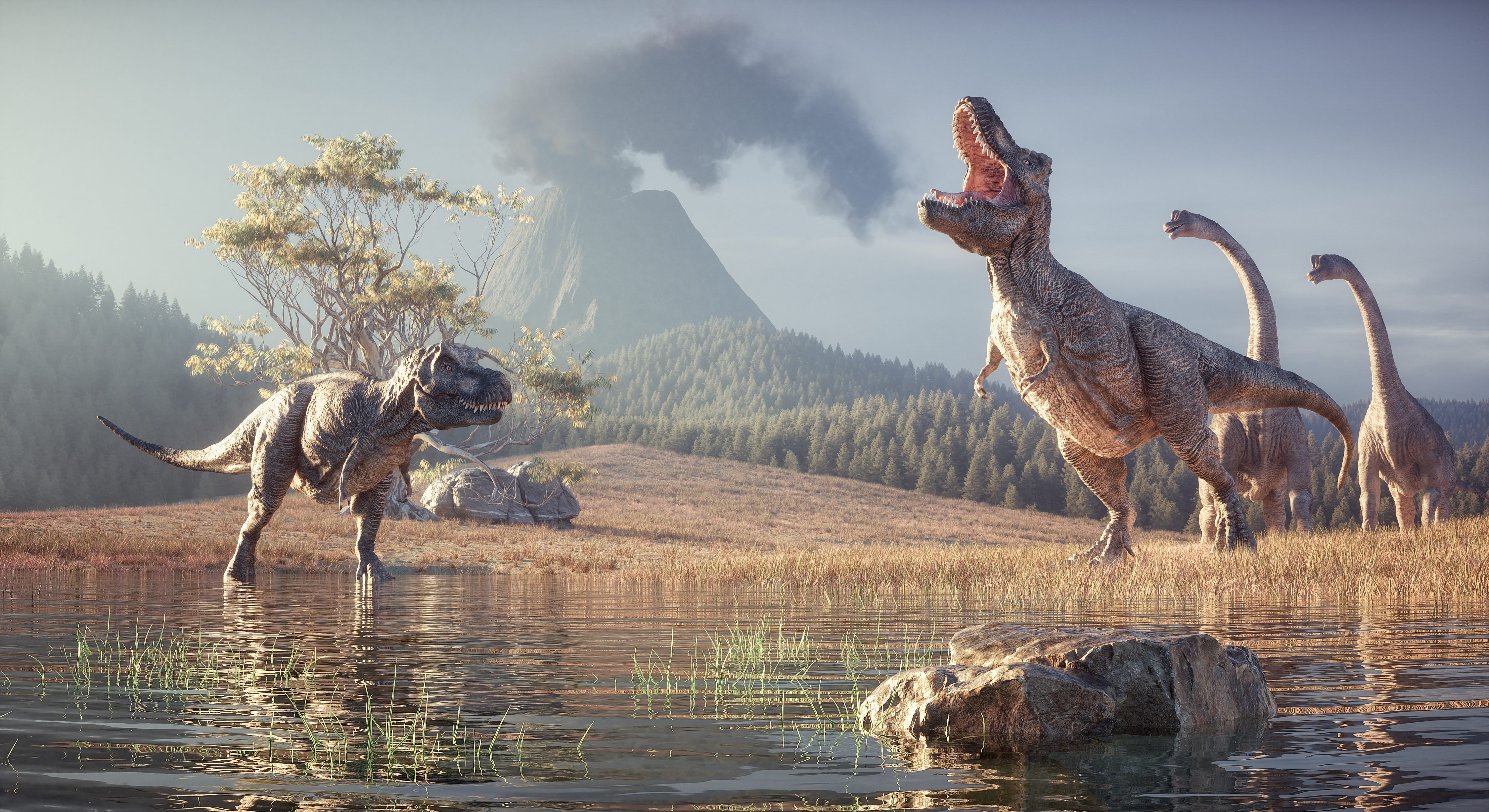 dinosauri