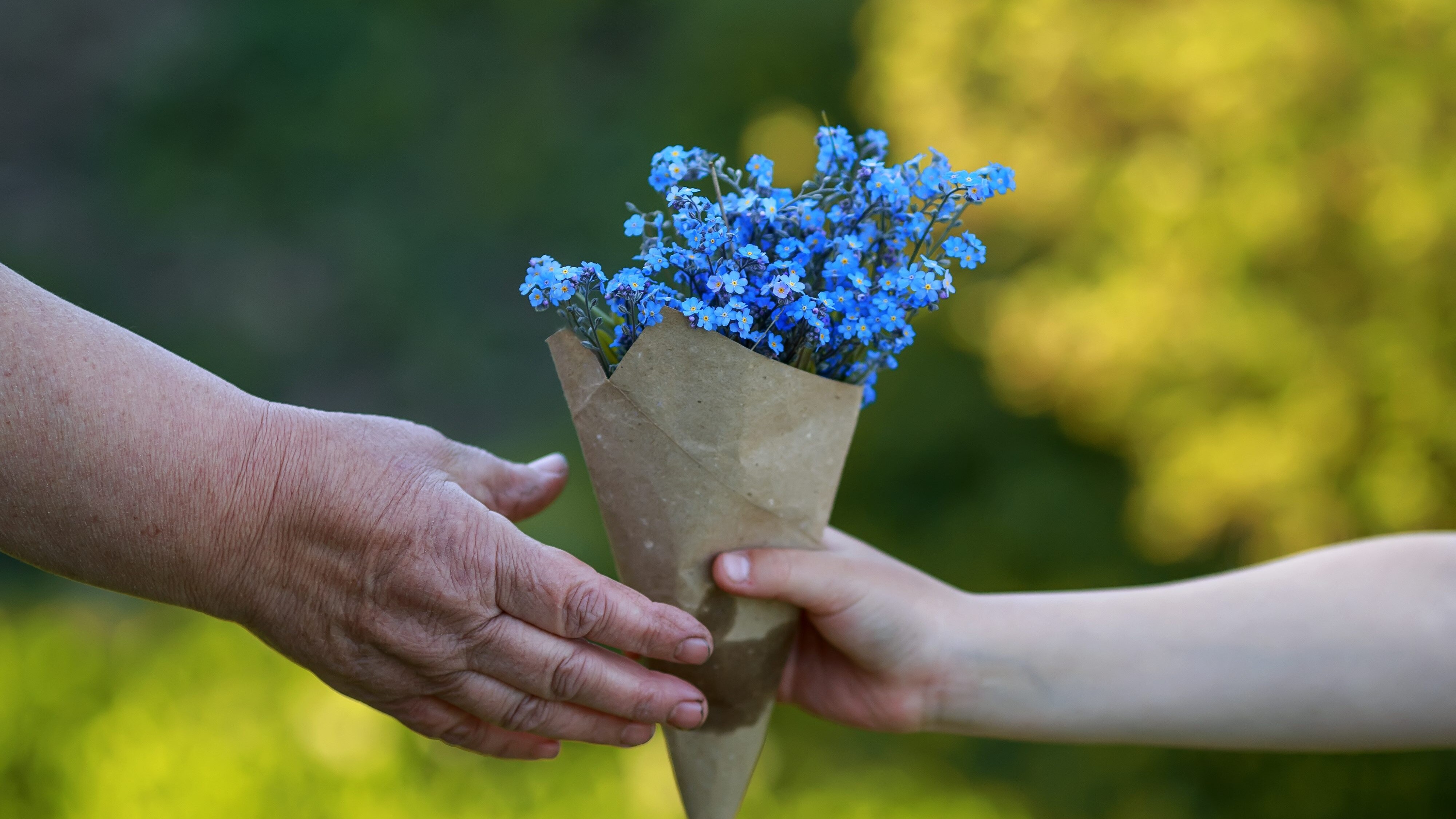 festadeinonnifiori