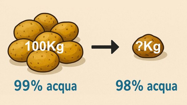 paradosso della patata