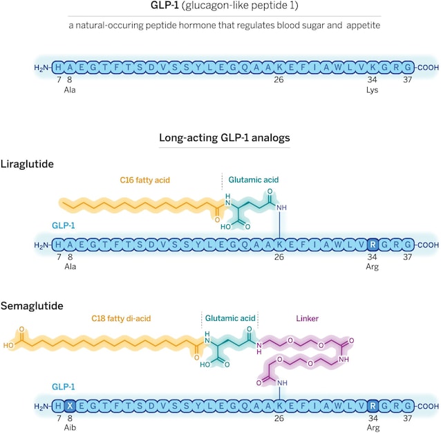 strutture liraglutide semaglutide