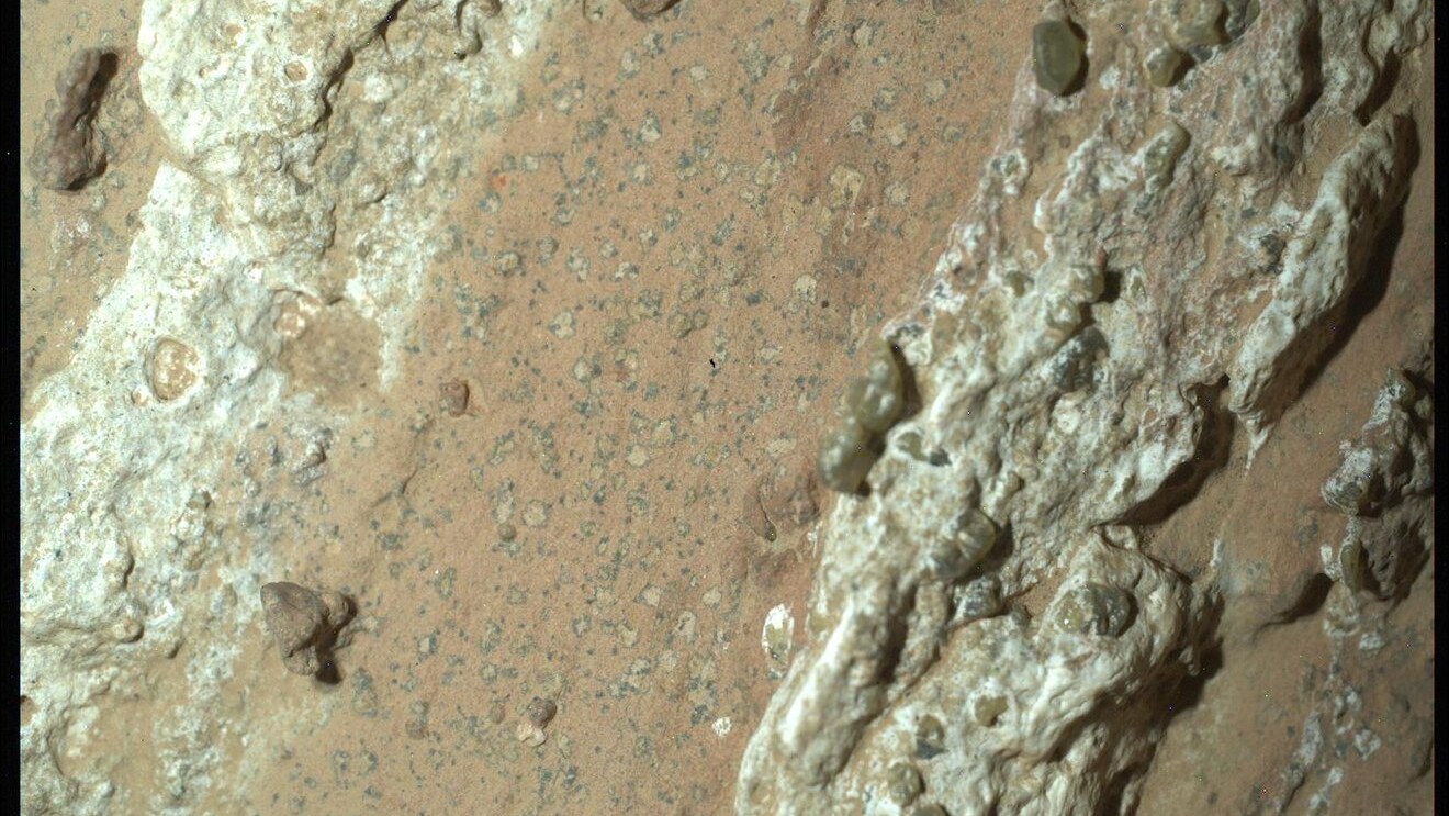 vita-su-marte-forme-biofirme