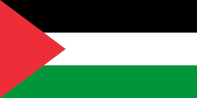 Bandiera della Palestina attuale