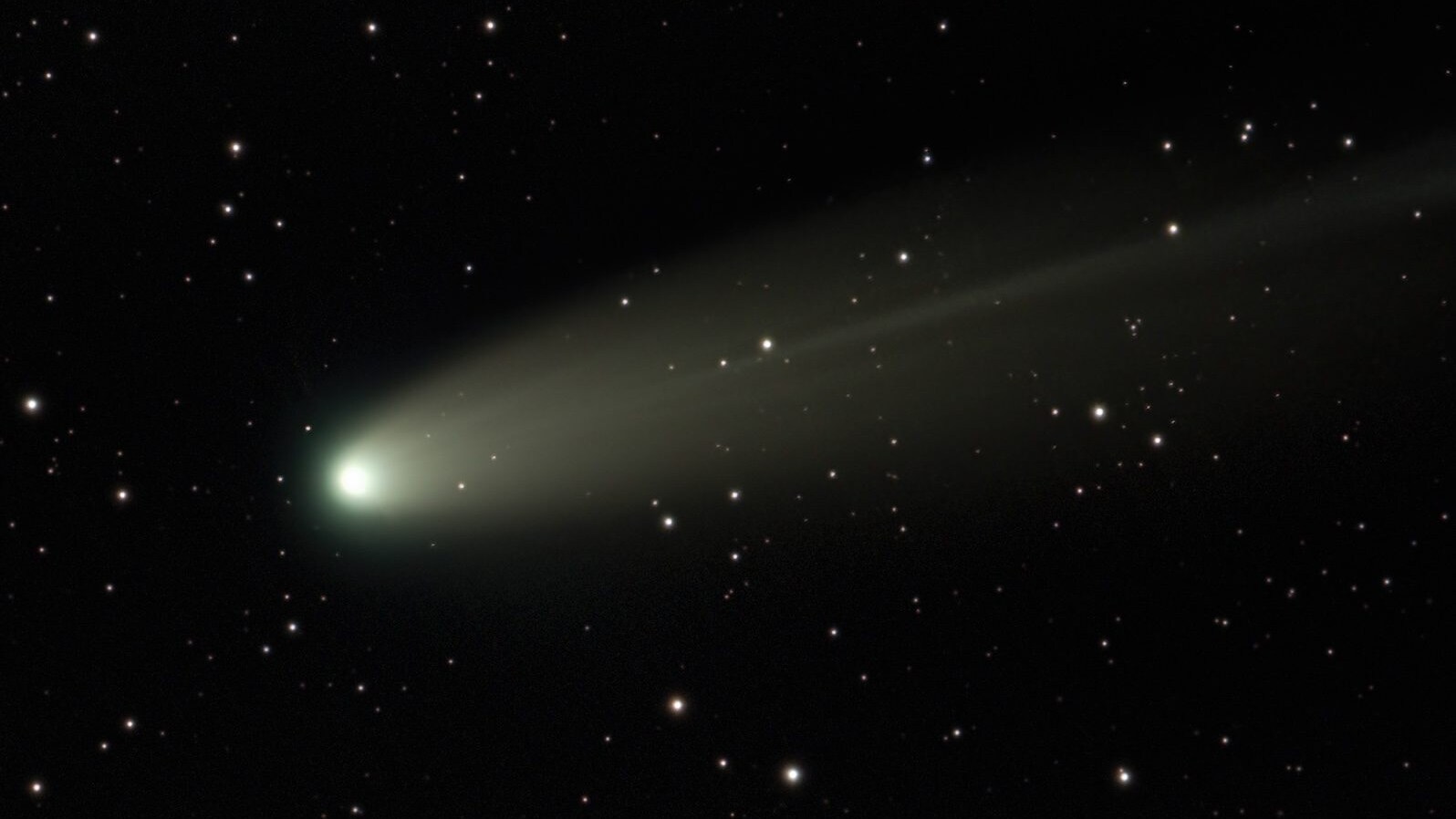 cometa lemmon