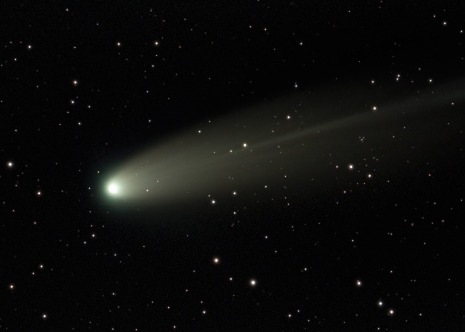 cometa lemmon