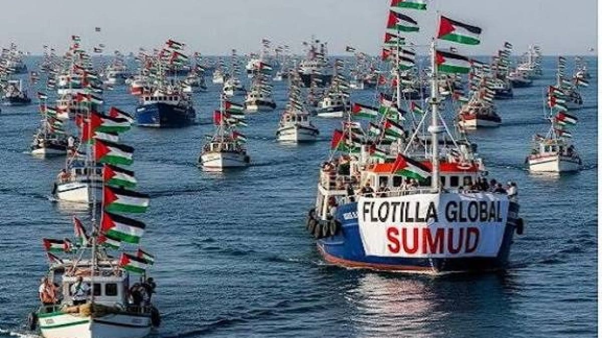 Flotilla precedenti copertina