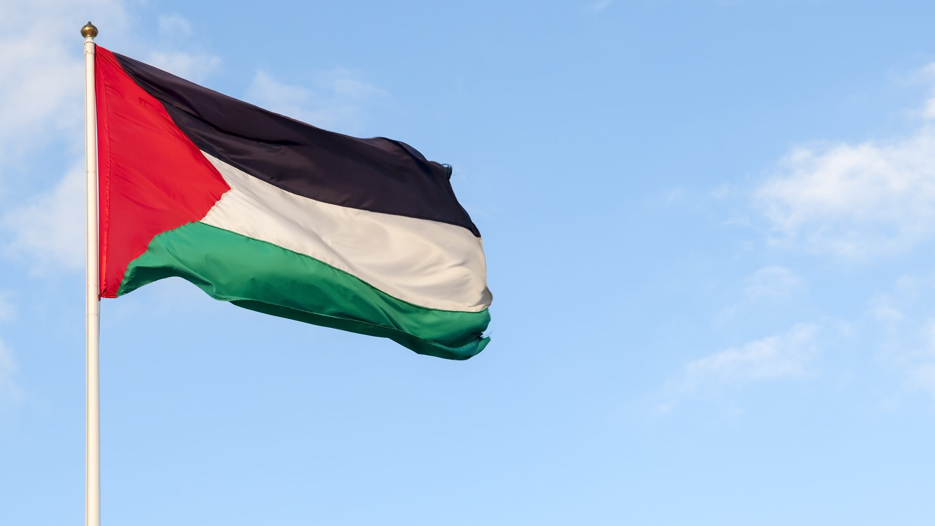 bandiera palestina