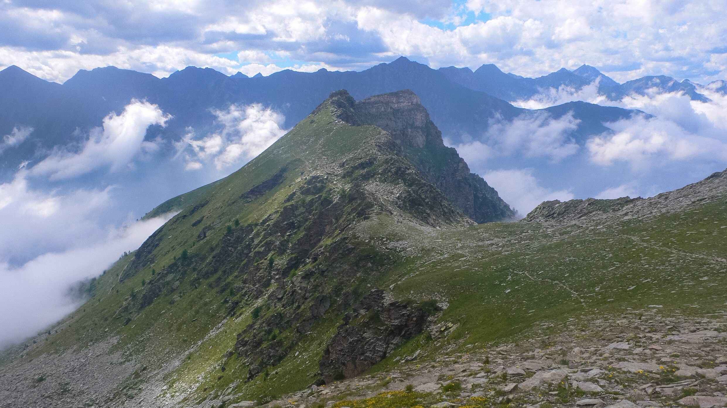 alpi fossili