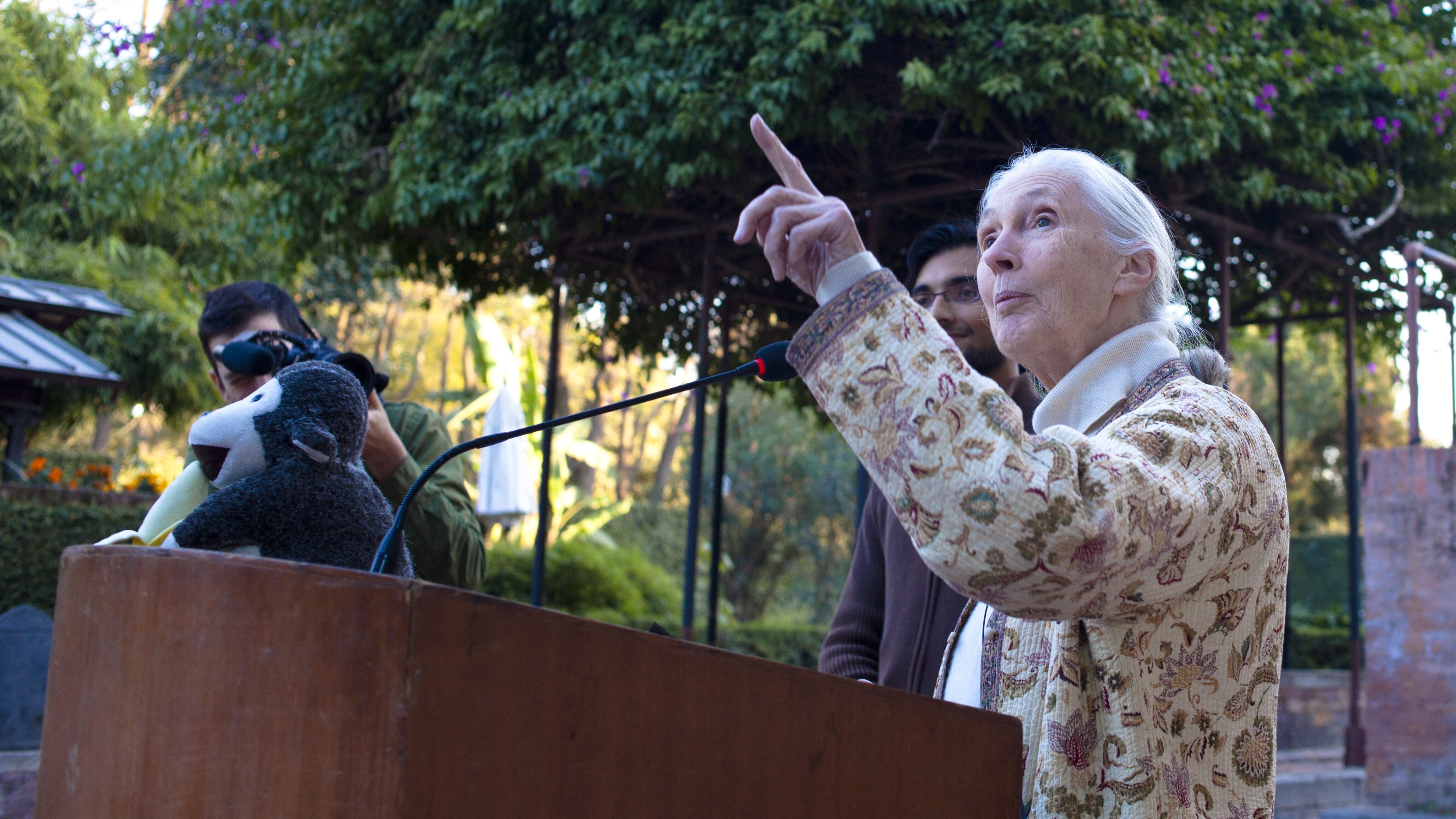 jane goodall