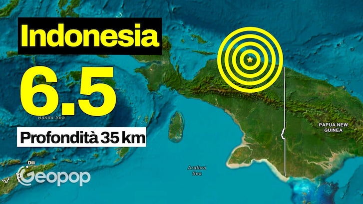 papua thumb