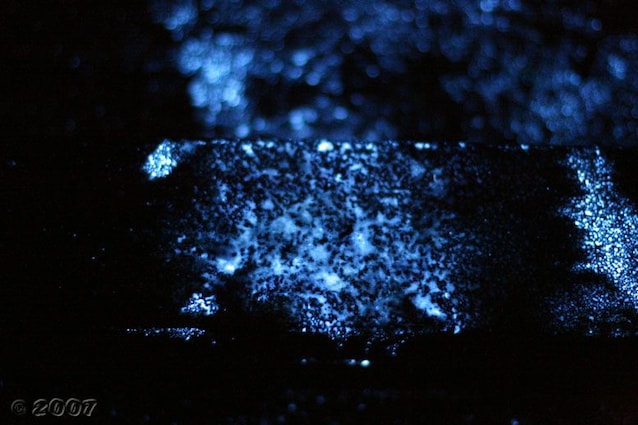 pavimento luminol sangue