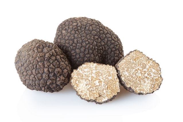 tartufo gleba e peridio