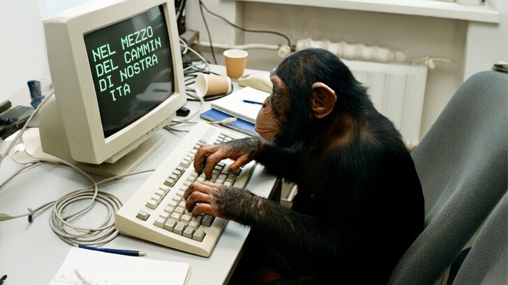 teorema scimmia instancabile